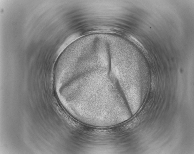 X0000086931378200705071342