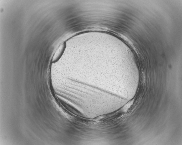 X0000086931379200705071342