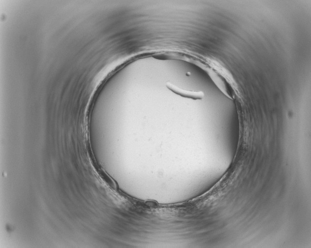 X0000086931380200705071342