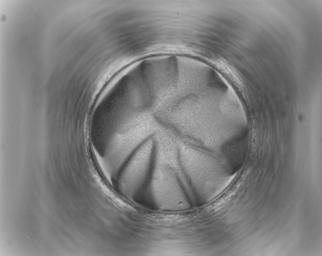 X0000086931382200705071342