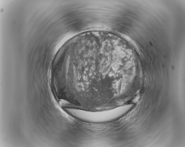 X0000086931383200705071342