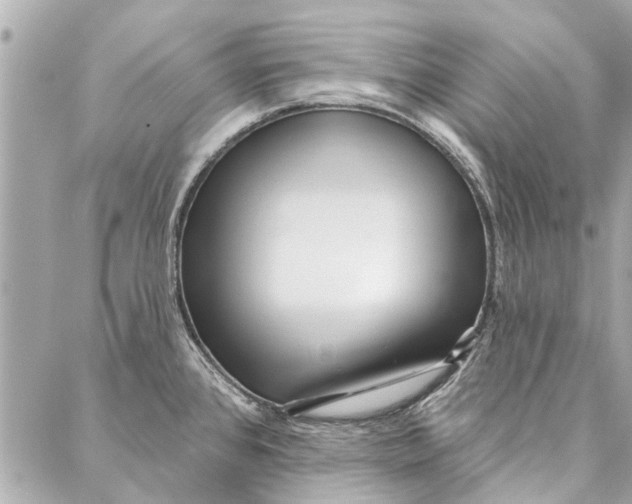 X0000086931384200705071342