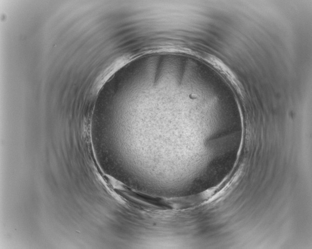 X0000086931385200705071342