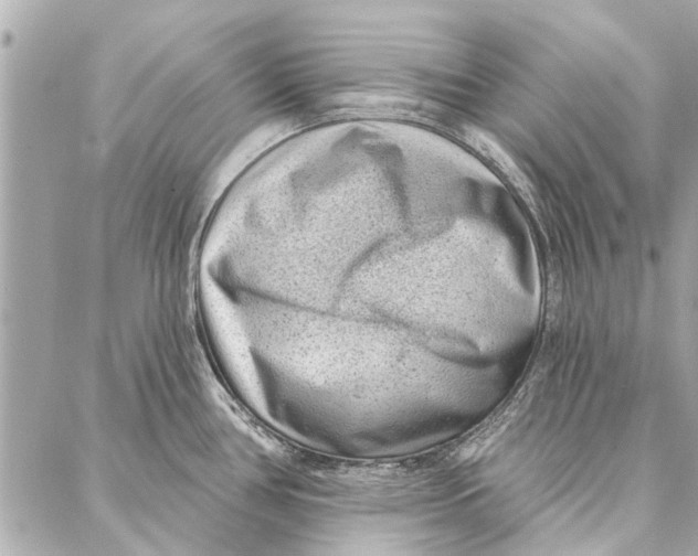 X0000086931386200705071342