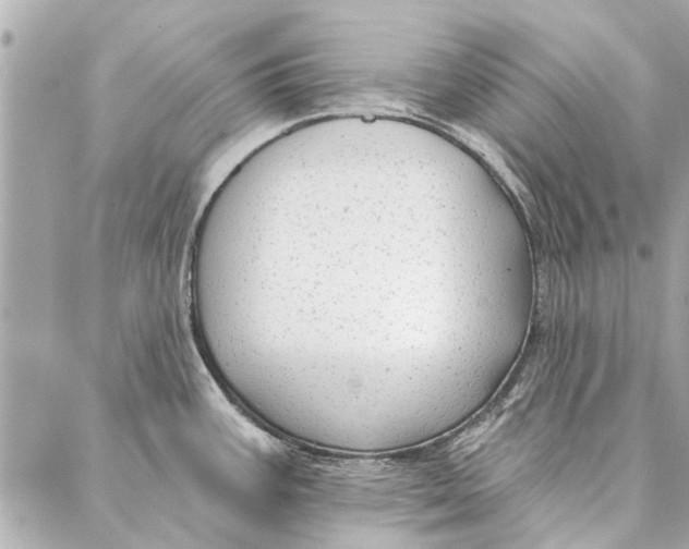 X0000086931387200705071342