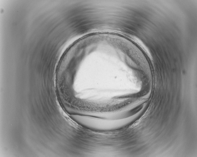 X0000086931388200705071342