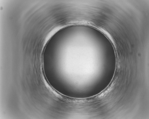 X0000086931389200705071342