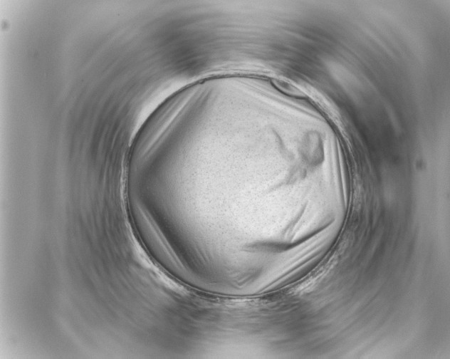 X0000086931390200705071342