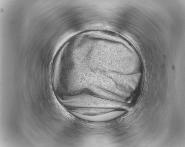 X0000086931392200705071342