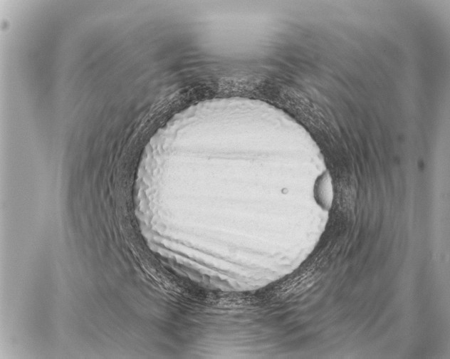 X0000086931393200705071341