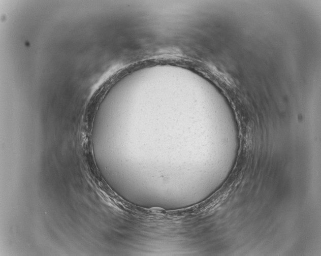 X0000086931400200705071341