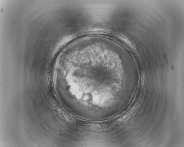 X0000086931405200705071341