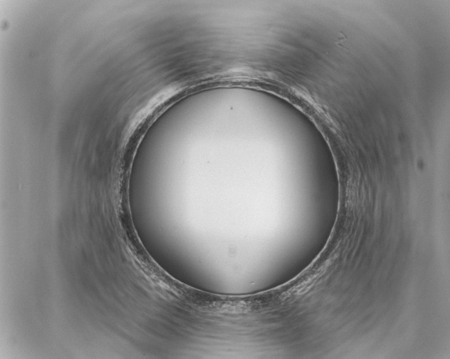 X0000086931410200705071341