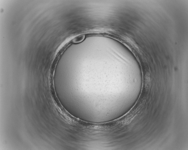 X0000086931412200705071341