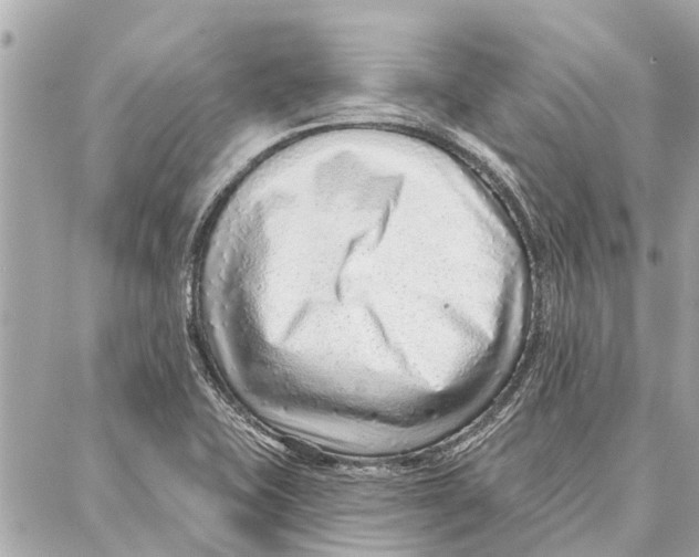 X0000086931415200705071342