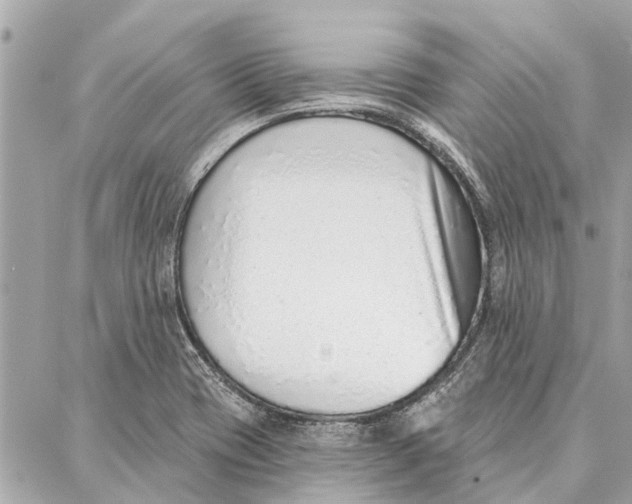 X0000086931417200705071342