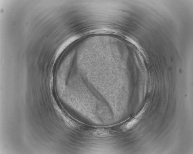 X0000086931418200705071342