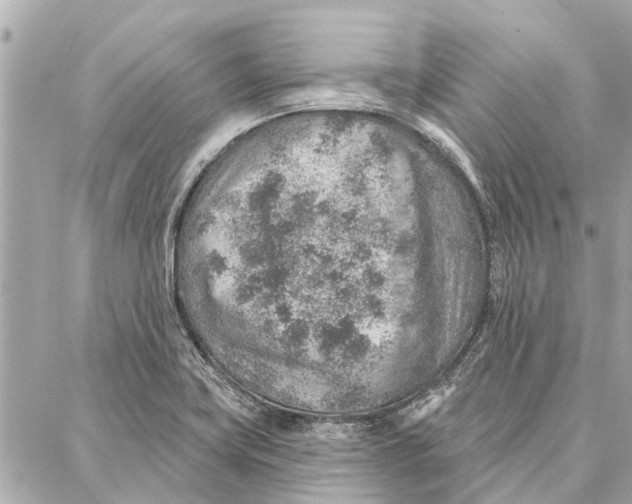 X0000086931419200705071342