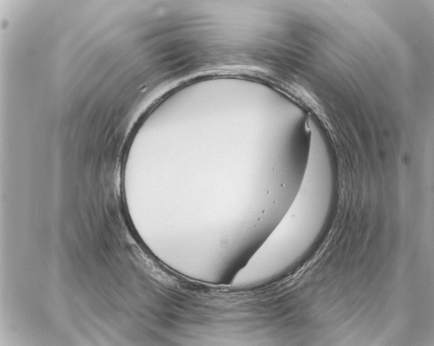 X0000086931420200705071342