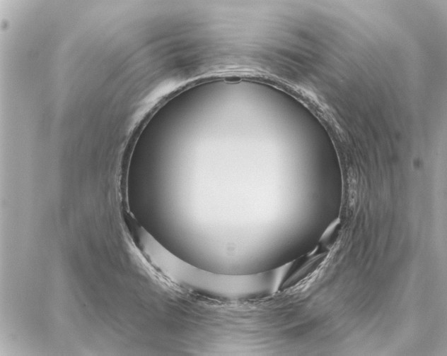 X0000086931422200705071342