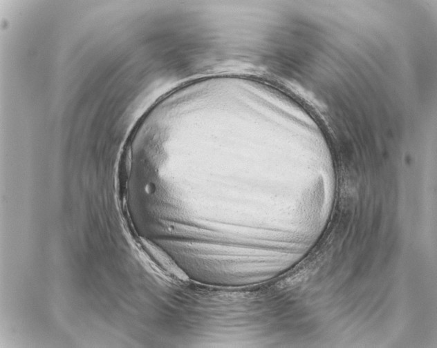 X0000086931423200705071342