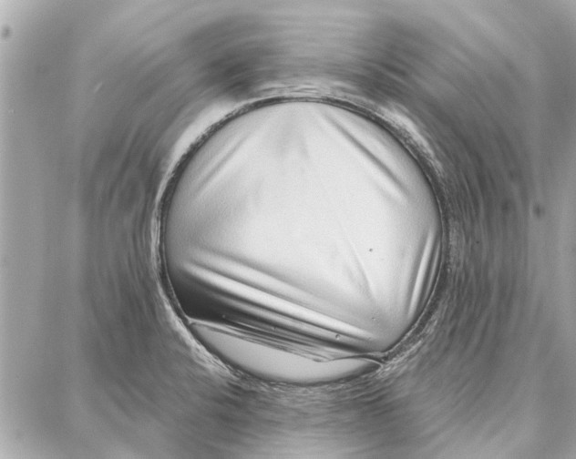 X0000086931424200705071342