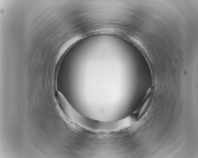 X0000086931426200705071342