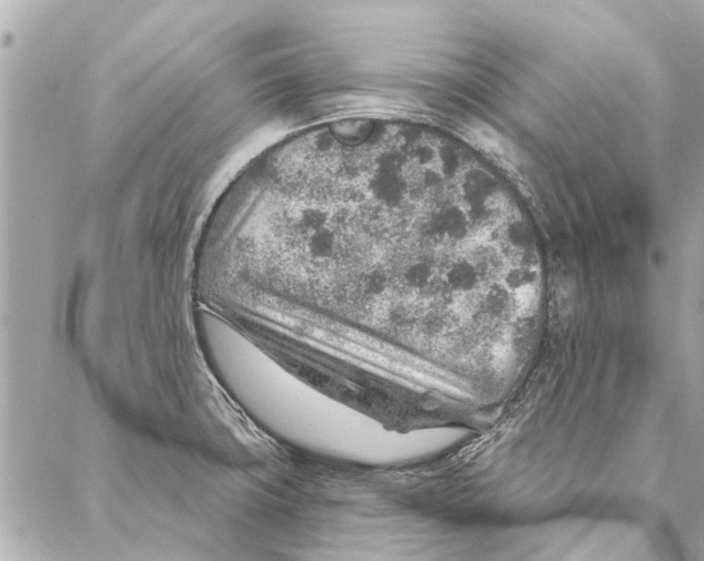 X0000086931427200705071342