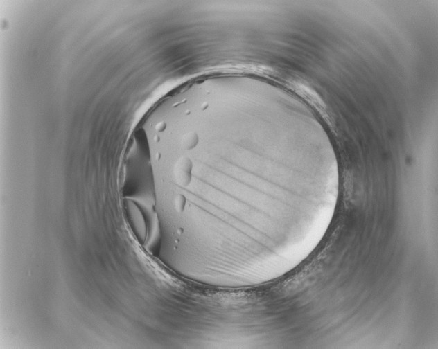 X0000086931428200705071342