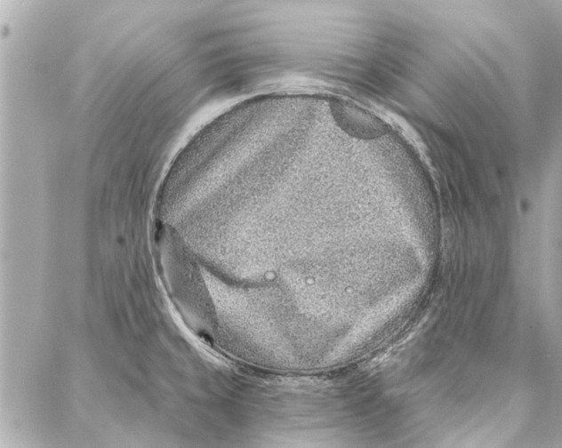 X0000086931429200705071342