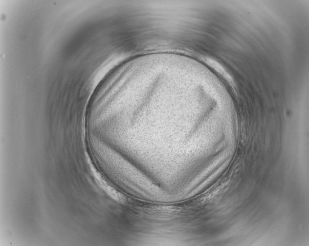 X0000086931431200705071342