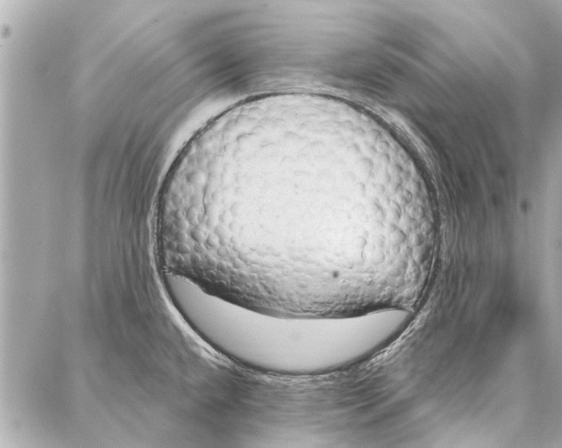 X0000086931432200705071342