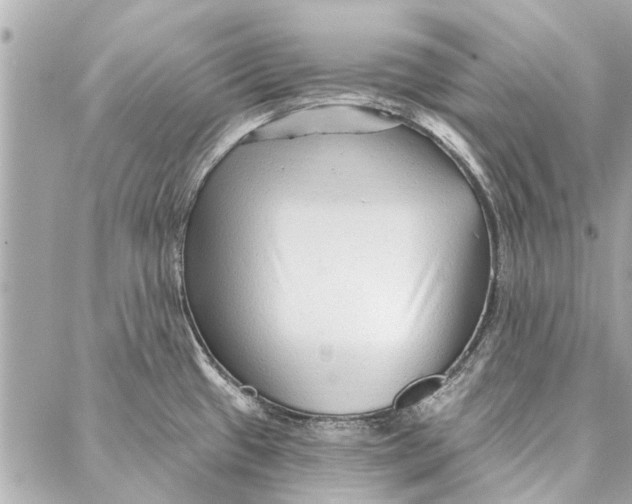 X0000086931433200705071342