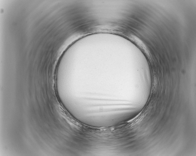 X0000086931435200705071342