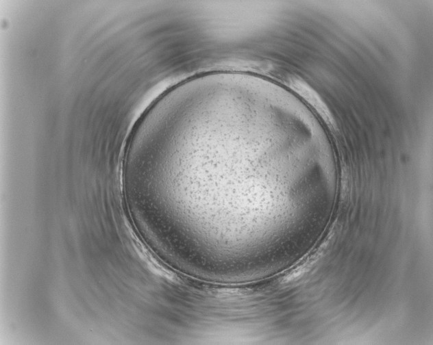 X0000086931436200705071342