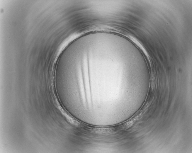 X0000086931437200705071342