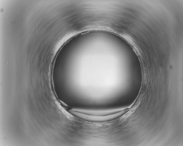 X0000086931438200705071342