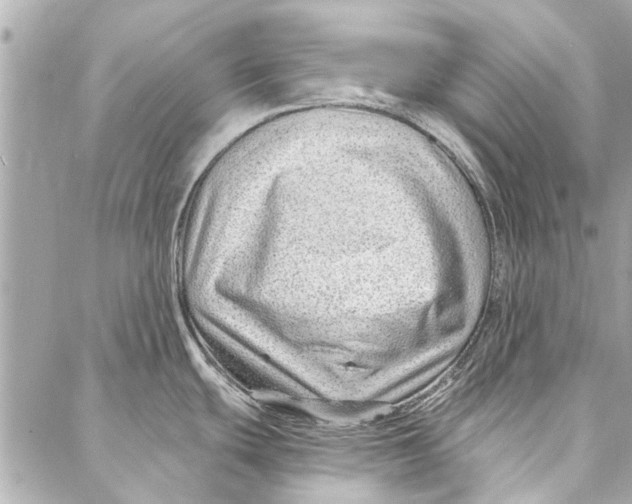 X0000086931439200705071342