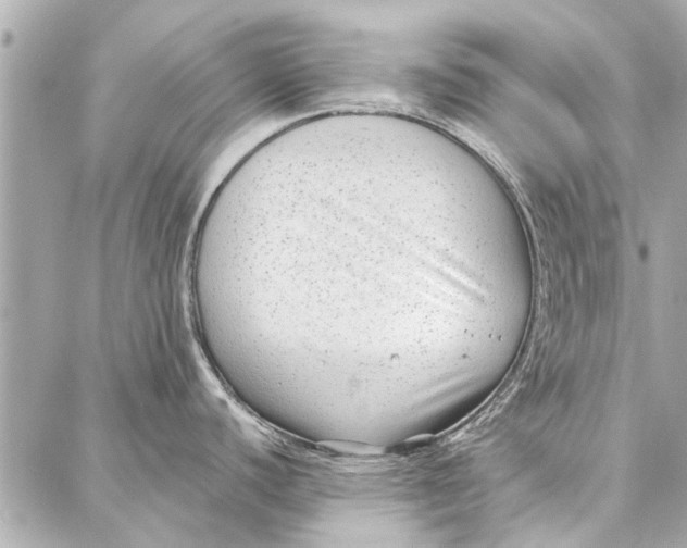 X0000086931440200705071342