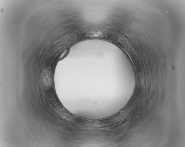 X0000086931442200705071341