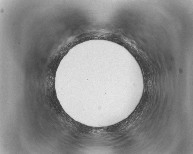 X0000086931447200705071341