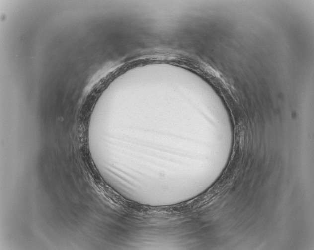 X0000086931448200705071341