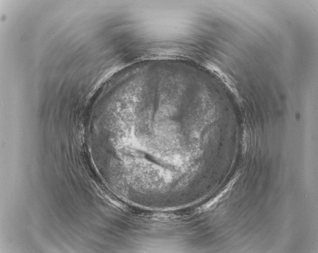 X0000086931449200705071341