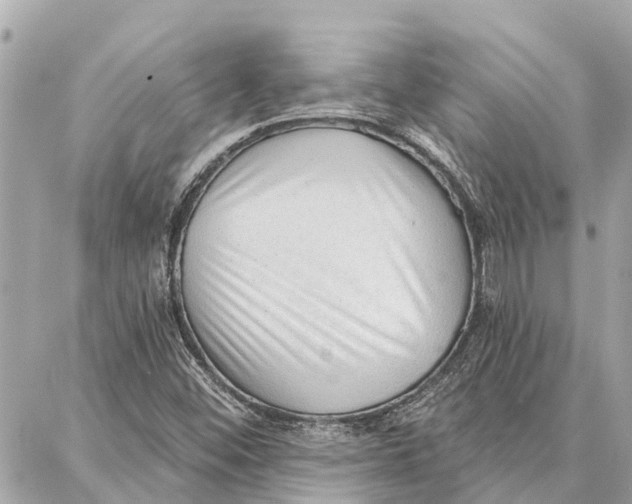 X0000086931452200705071341