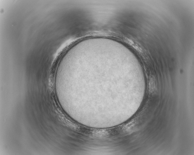 X0000086931454200705071341