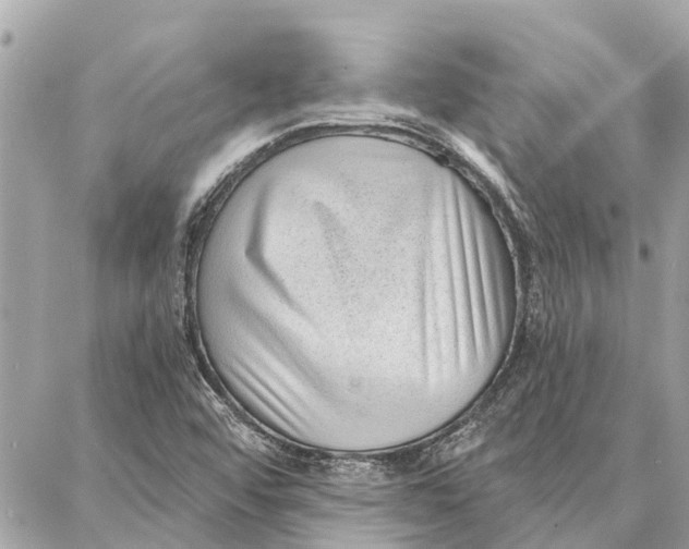 X0000086931456200705071341