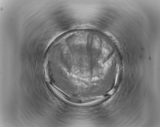 X0000086931457200705071341