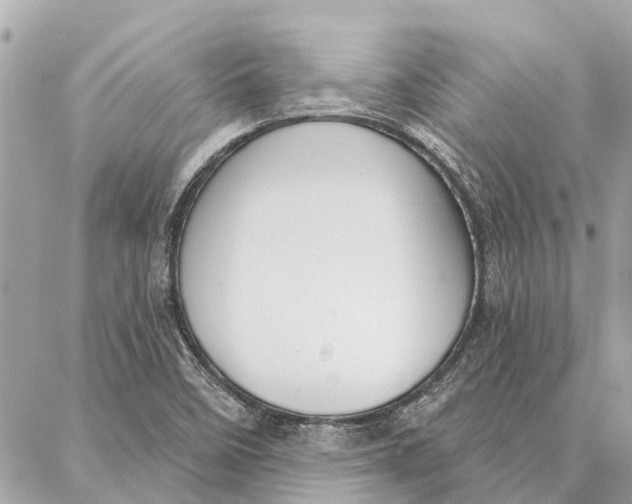 X0000086931458200705071341