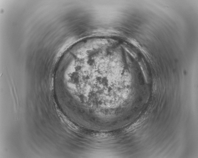 X0000086931459200705071341