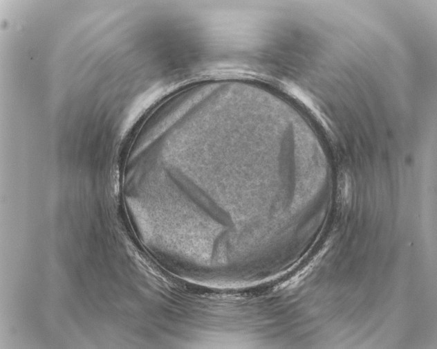 X0000086931461200705071341